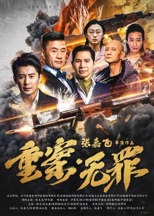 【动作片】重案·无罪